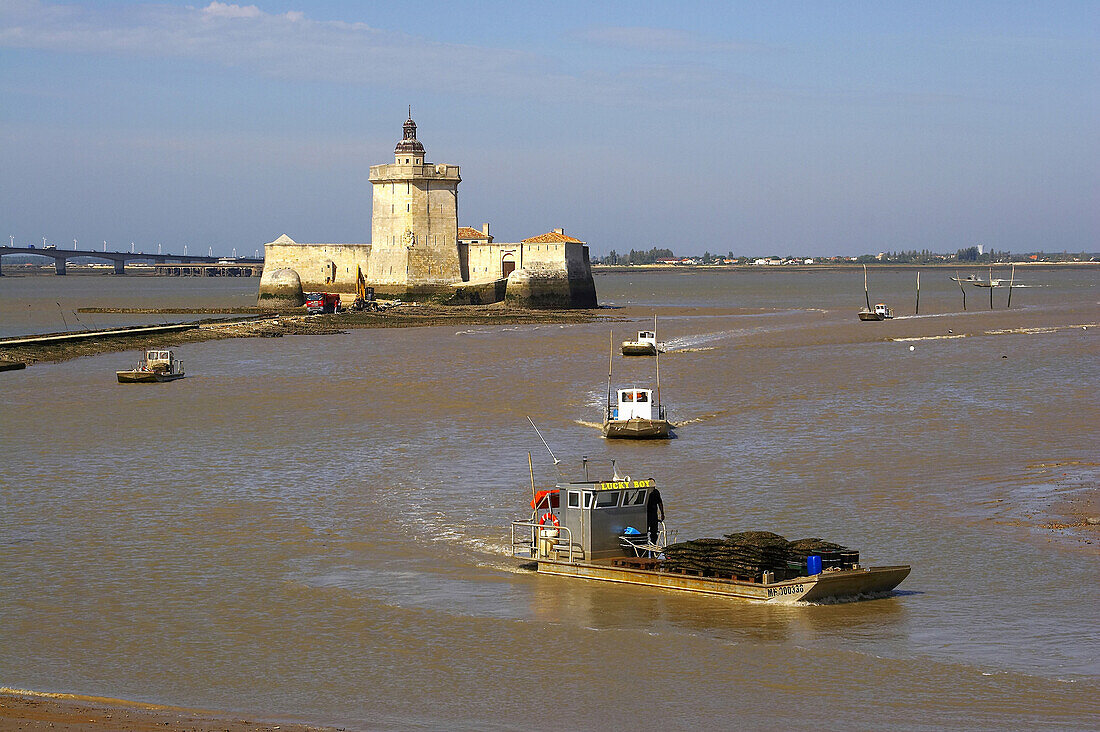 Pointe du Chapus, Le Chapus, oyster-culture, Fort Louvois, dept Charente-Maritime, Charente-Vendée, France, Europe