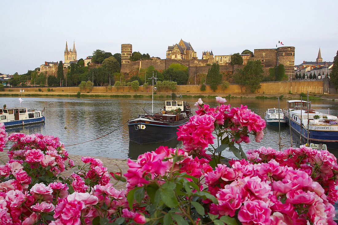 Früher Abend am Hafen von Angers; Blick auf Schloß und Hafen mit Schiffen, La Maine, Dept. Maine-et-Loire, Frankreich, Europa