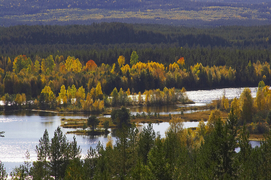 Fall between Mora and Aelvdalen at the Oesterdalaelven, Dalarna, middle Sweden