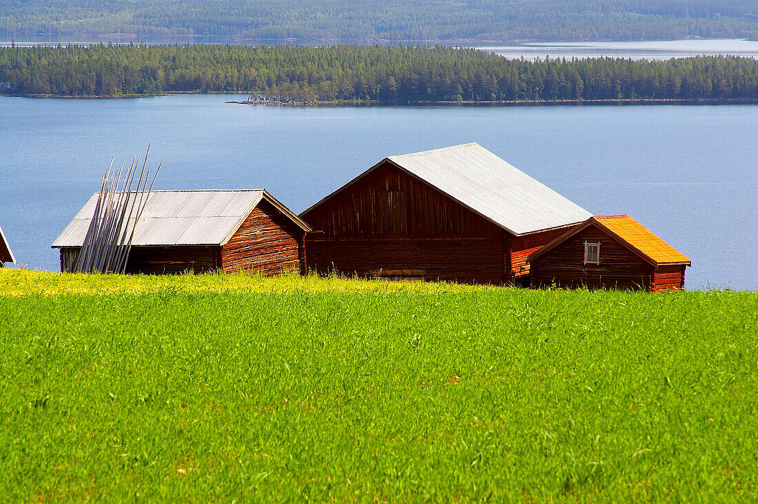 Farmhouses between Hovermo and Vigge am lake Myrviken, Jaemtland, northern Sweden