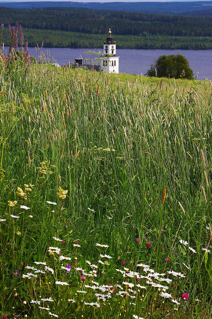 Blick über Wiese mit Kirchturm von Alsen am Alsensjön, Jämtland, Nordschweden