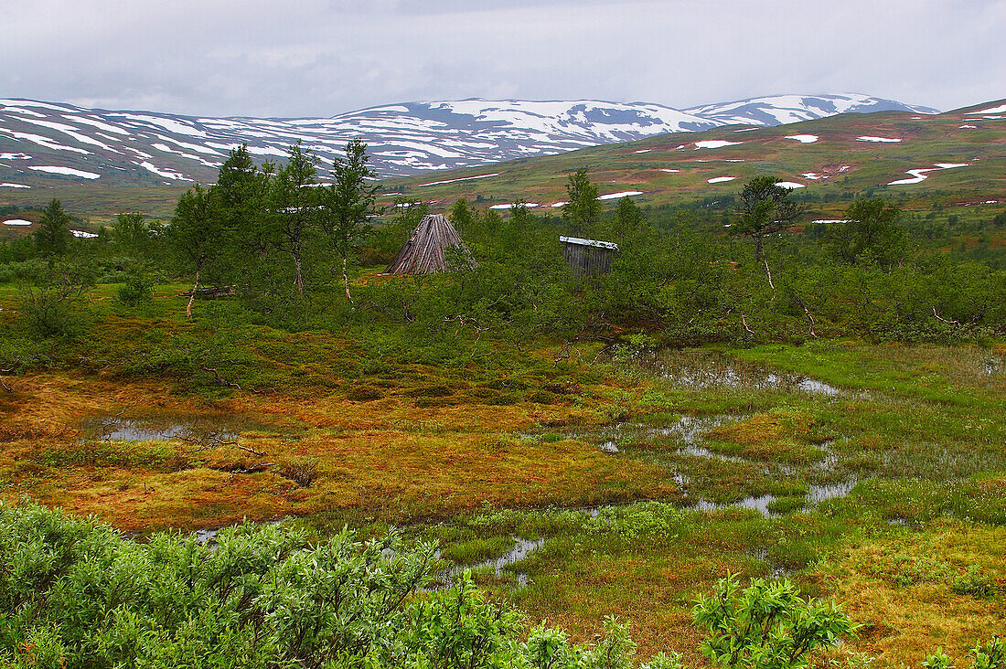 Auf dem Vildmarksvägen nach Norden: Samenhütte bei Stekenjokk, Lappland, Nordschweden