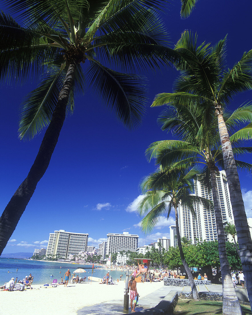Waikiki beach, honolulu, oahu, hawaii, USA.