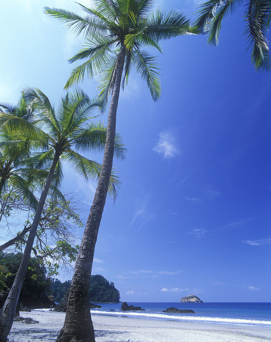 Scenic playa espadilla beach, Manuel antonio National Park, Costa Rica.