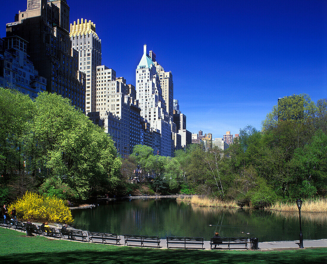 Spring blossoms, Pond, Central park south skyline, Manhattan, New York, USA.