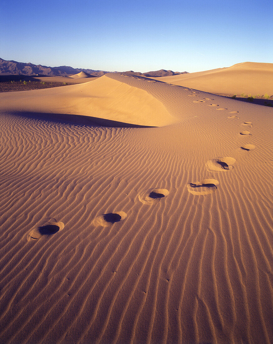 Scenic footsteps in desert sand.