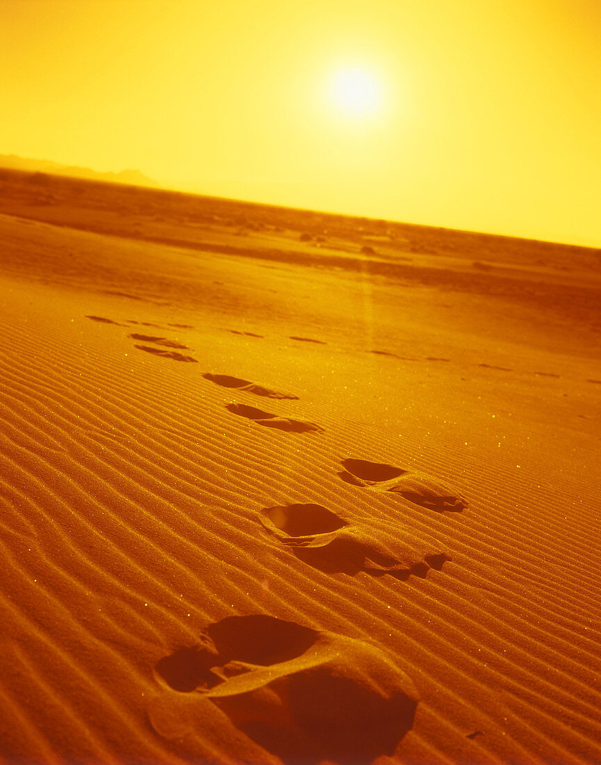 Scenic footsteps in desert sand.