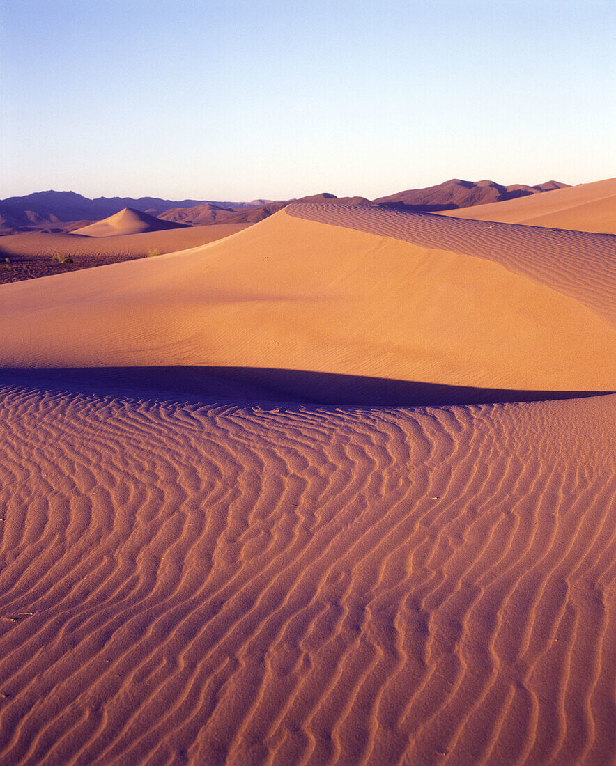 Scenic big sand dune, Amargosa desert, Nevada, USA.