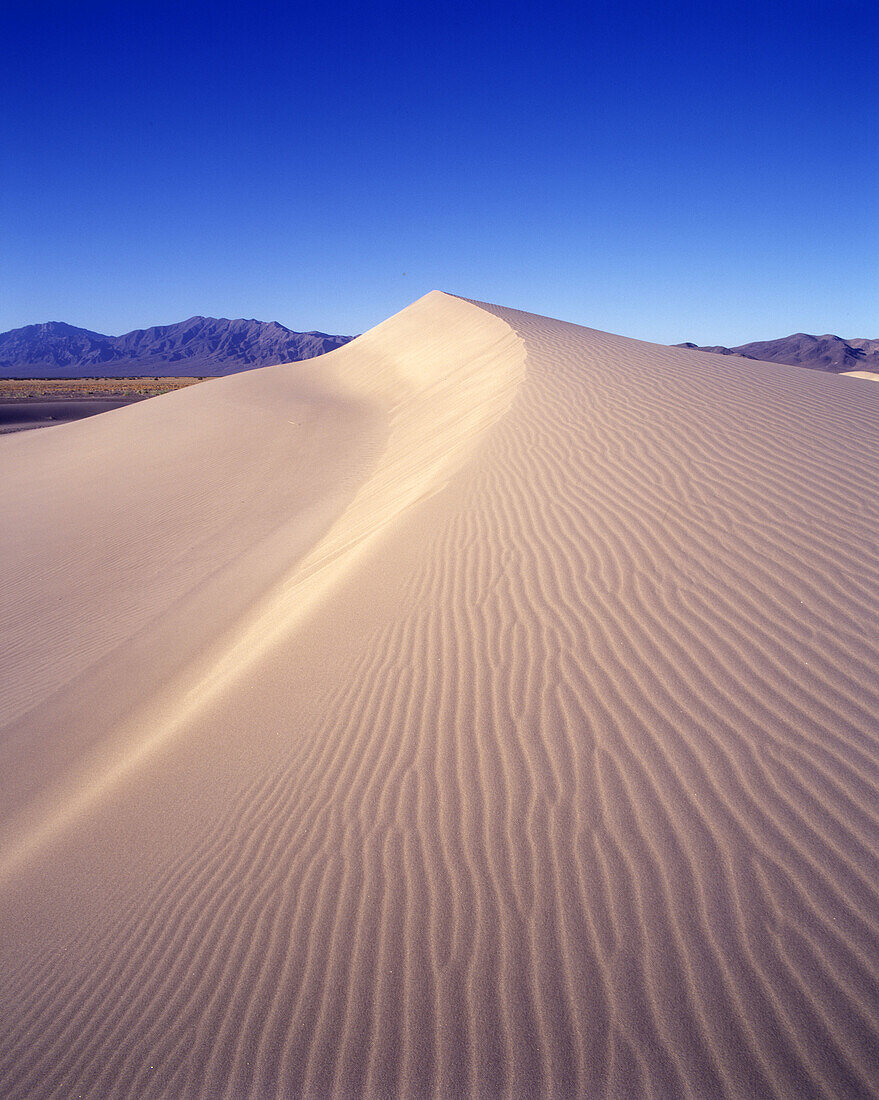 Scenic big sand dune, Amargosa desert, Nevada, USA.