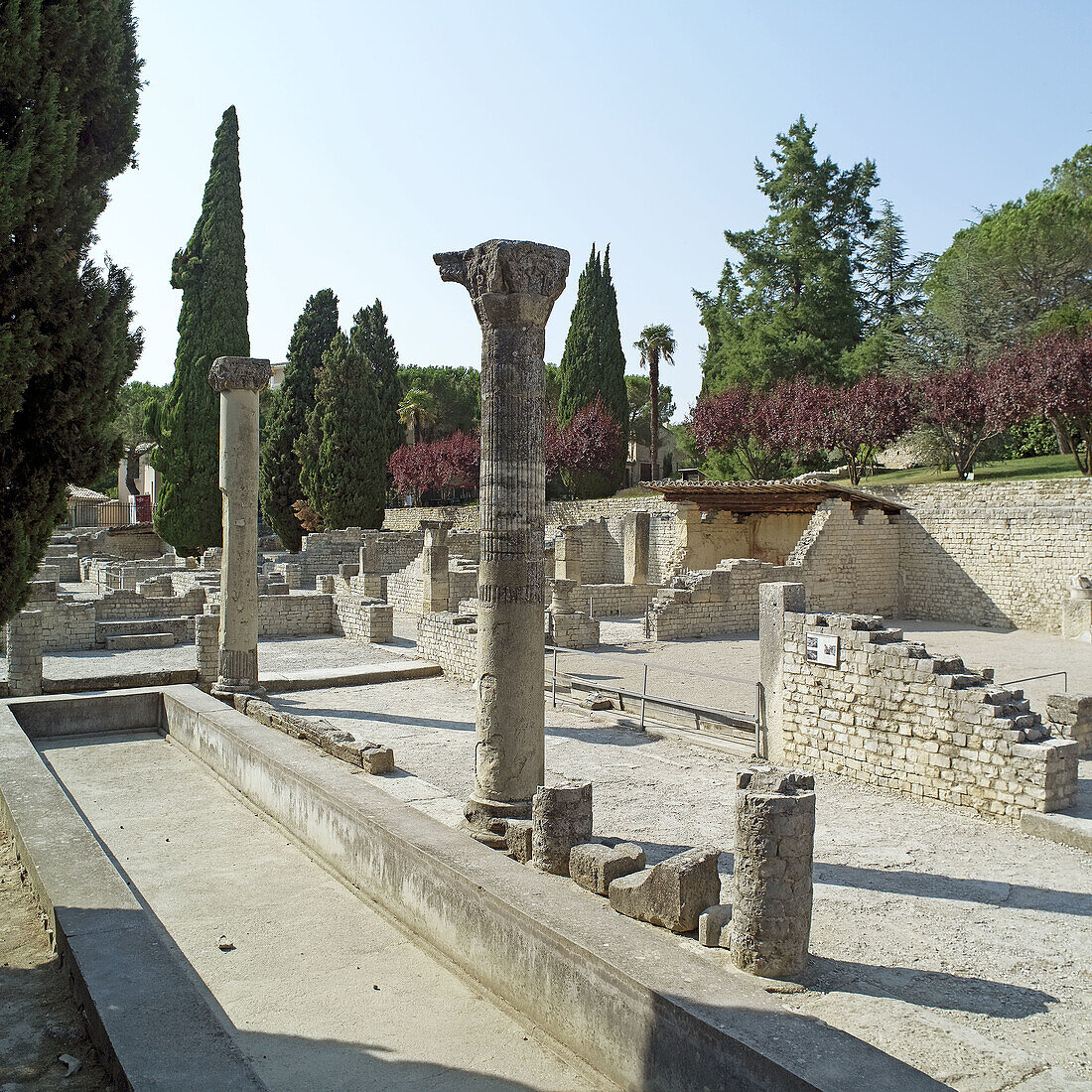 Vaison la Romaine. Roman ruins. Vaucluse. Provence. France