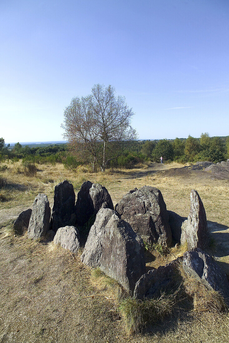 Vivian s House (Hotié de Vivianne) at forest of Brocéliande (aka forest of Paimpont). Brittany, France