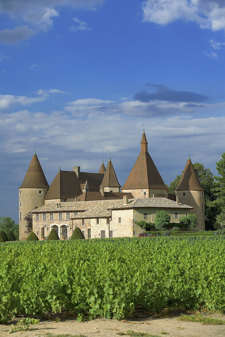 Vineyard and Corcelles castle, XVth century. Beaujolais wine country. Rhone Valley. France.