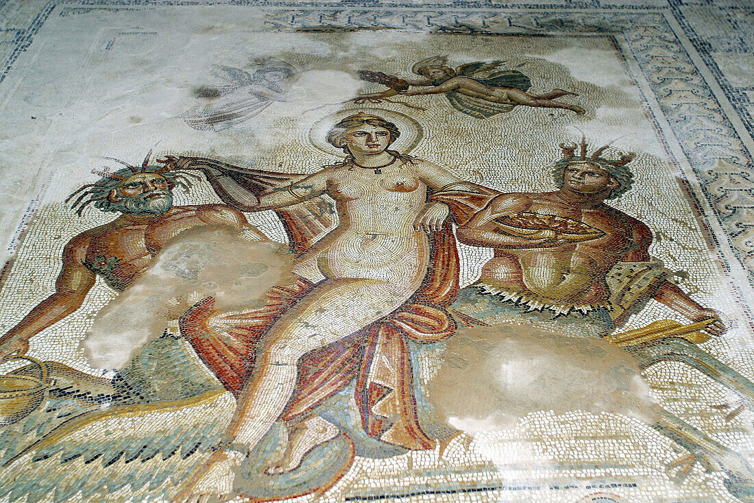 Mosaic at House of Amphitrite, Bulla Regia roman ruins. Tunisia