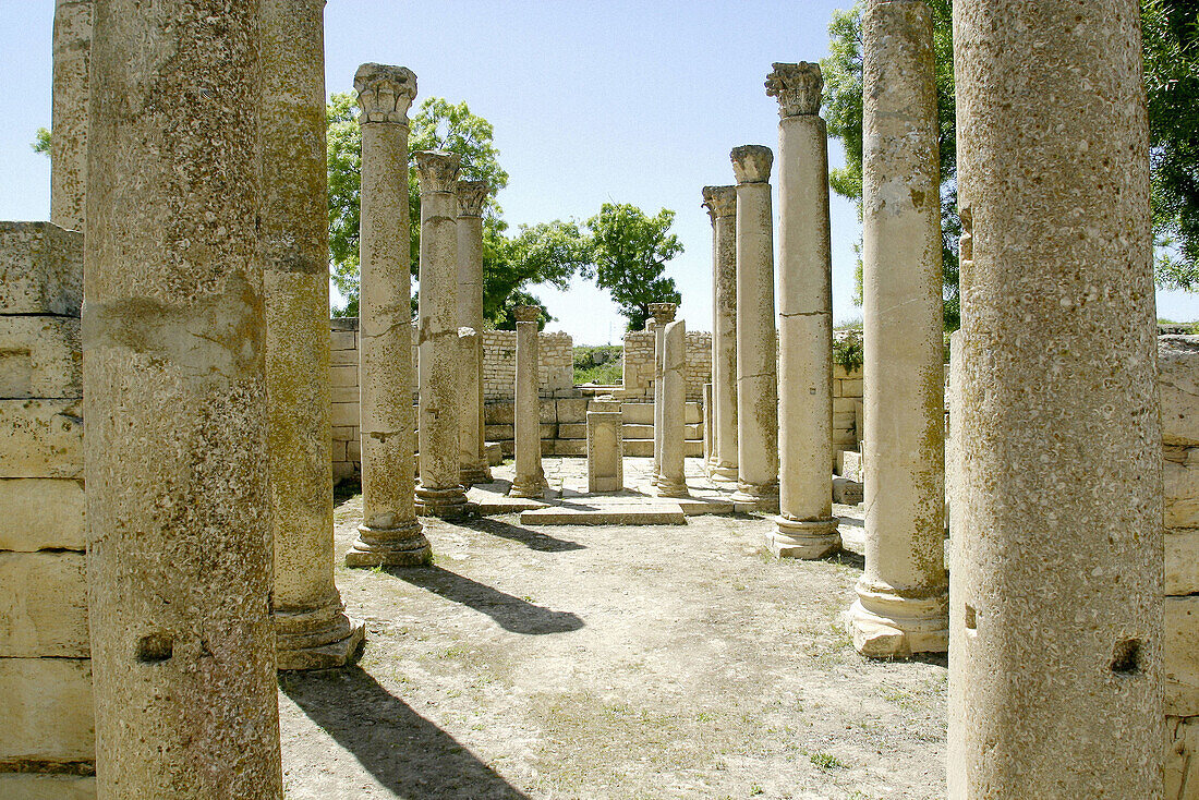 Ruins of old Roman city of Mactaris (Makthar). Tunisia