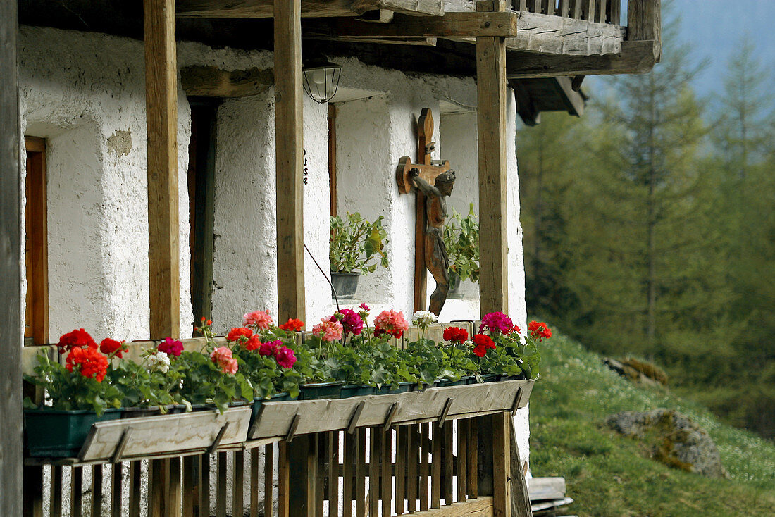 Old house. Valdurno. Trentino-Alto Adige, Italy