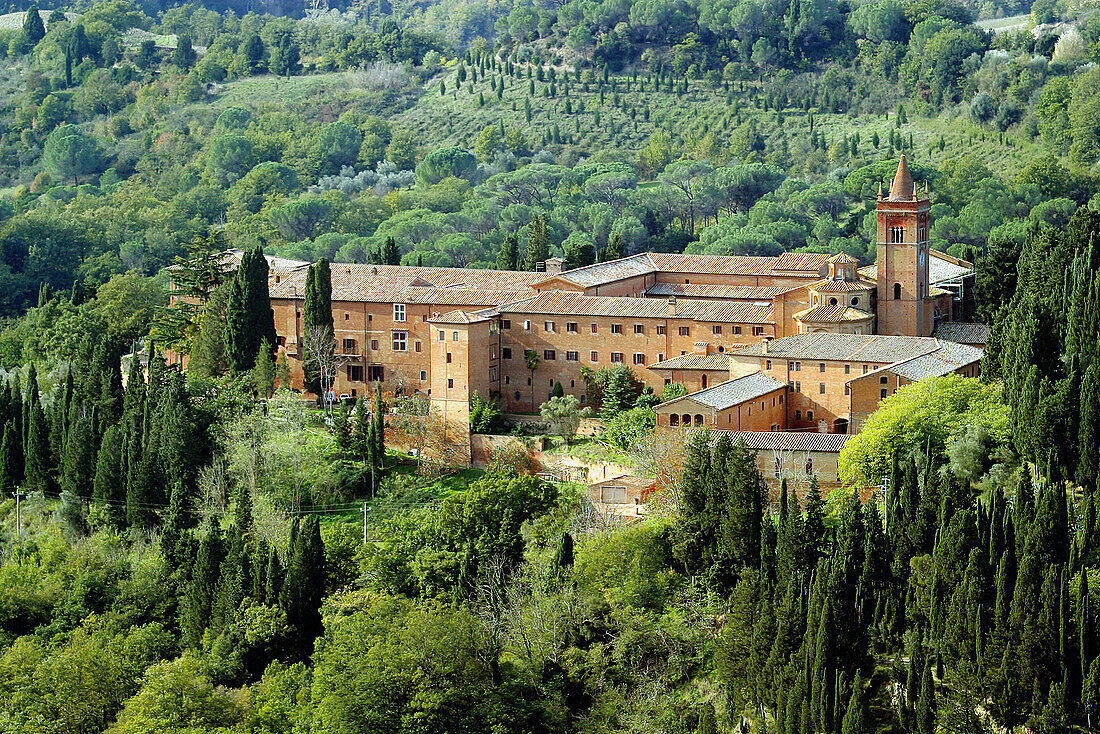Monte Oliveto Maggiore abbey at Siena province. Tuscany, Italy