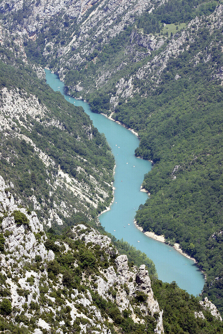 Gorges du Verdon. Alpes-de-Haute-Provence, Provence. France