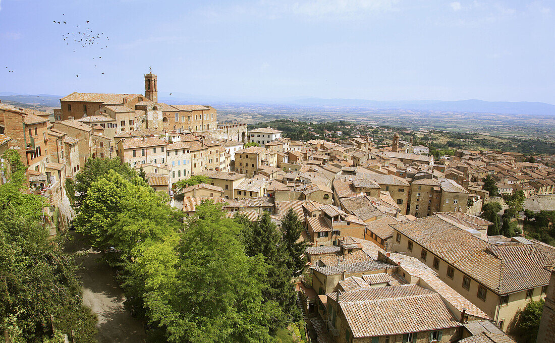 Montepulciano. Tuscany, Italy