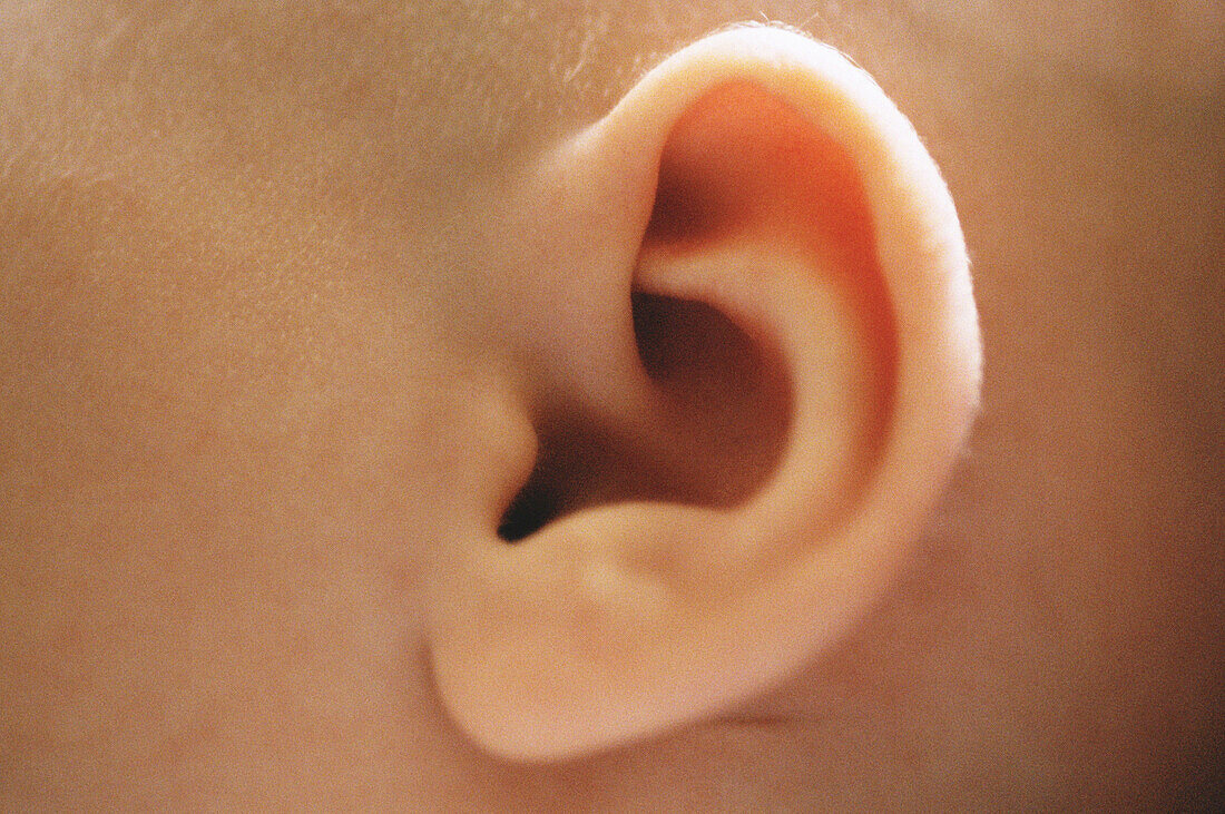  Babies, Baby, Body, Body part, Body parts, Caucasian, Caucasians, Child, Children, Close up, Close-up, Closeup, Color, Colour, Detail, Details, Ear, Ears, Hearing, Horizontal, Human, Infant, Infants, Listen, Listening, One, One person, People, Person, Pe