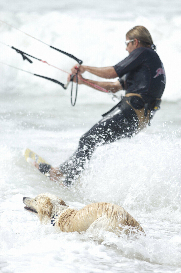 Kiteboarder and dog