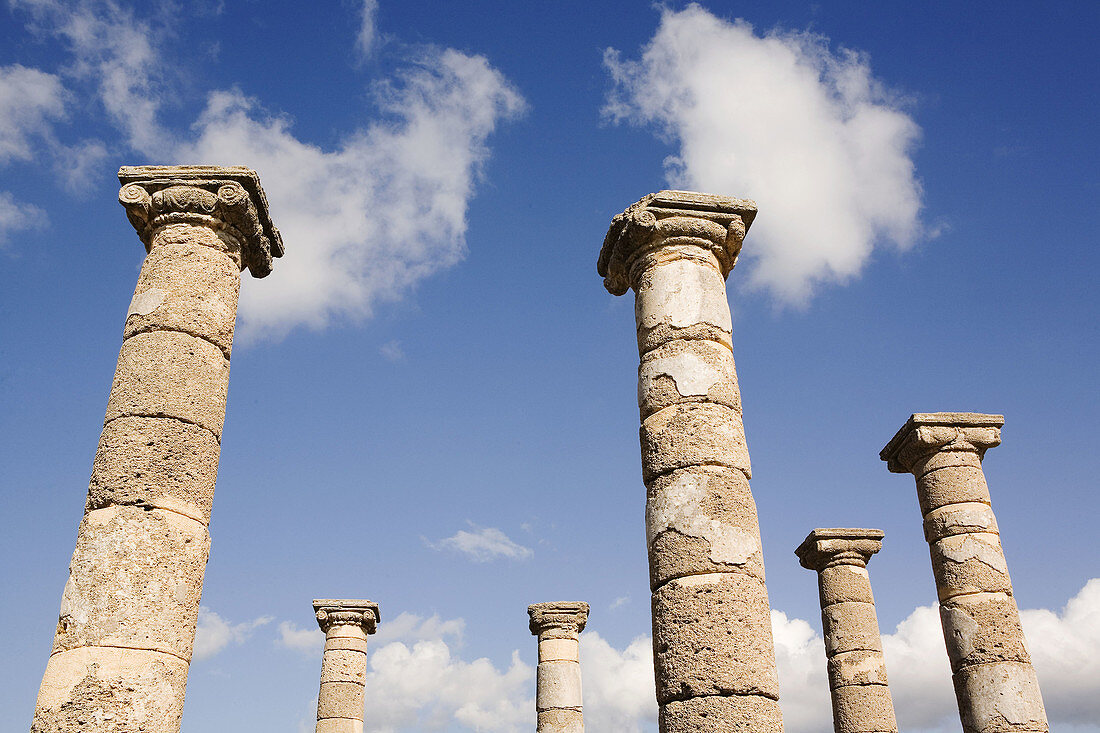 Ruins of old roman city of Baelo Claudia, Tarifa. Cadiz province, Andalusia, Spain