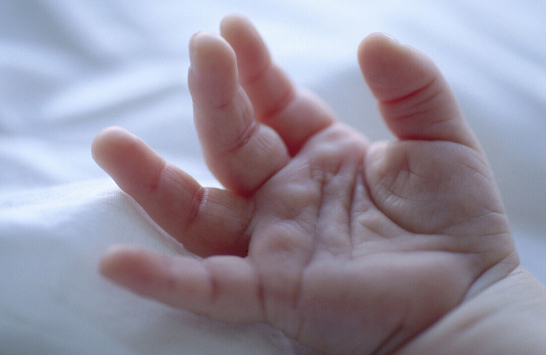  Babies, Baby, Child, Childhood, Children, Chill out, Chilling out, Close up, Close-up, Closeup, Color, Colour, Contemporary, Delicate, Fragile, Fragility, Hand, Hands, Horizontal, Human, Indoor, Indoors, Infant, Infantile, Infants, Interior, Little, One,