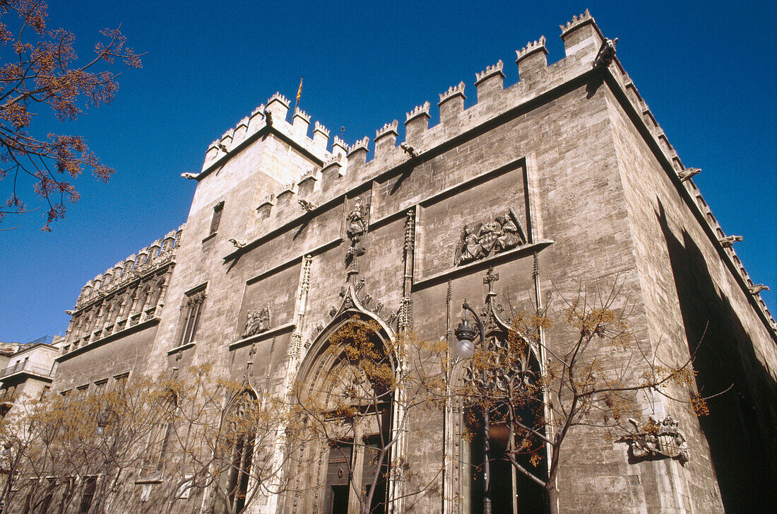 Lonja de la Seda (Silk Exchange). Late gothic, 15th Century. Valencia. Spain