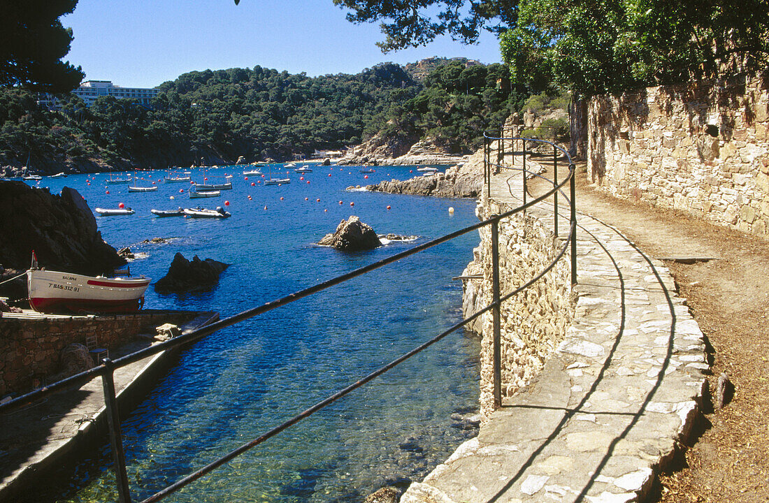 Fornells Cove (Cala de Fornells). Costa Brava. Girona province. Spain