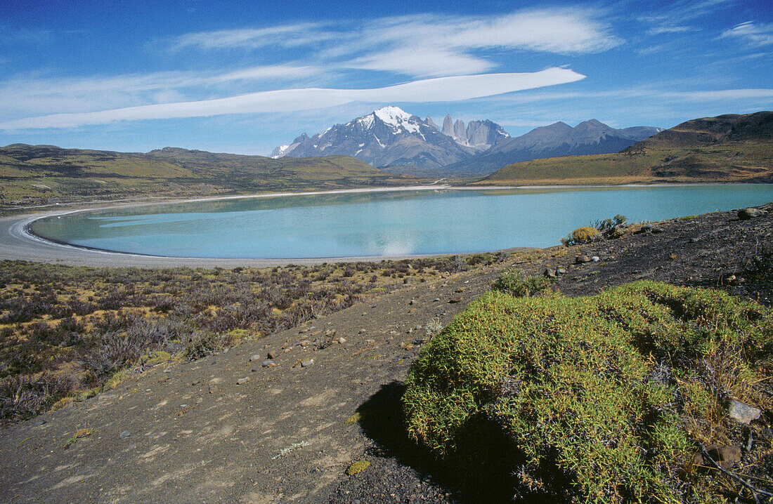 Laguna Amarga. Torres del Paine National Park. Magallanes XIIth region. Chile.