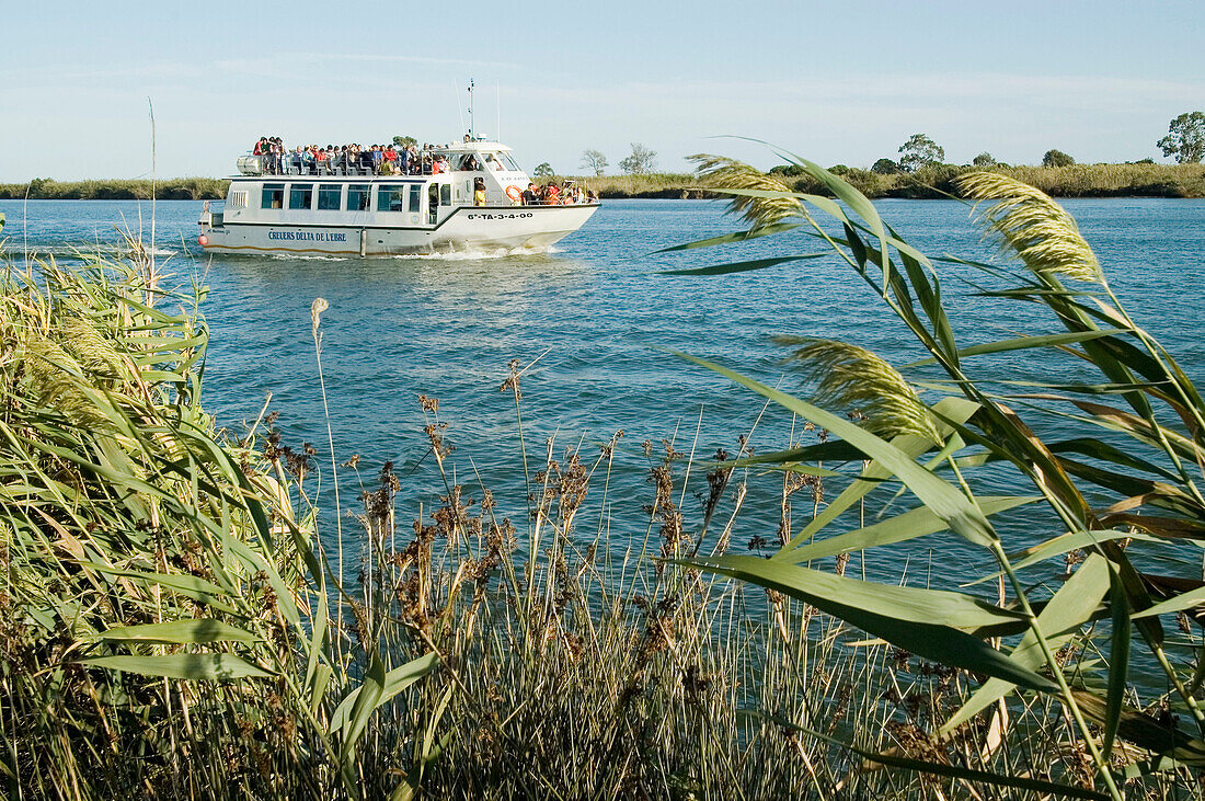 Barco turístico en el delta del rio Ebro.Parque Natural del Delta del Ebro.Tarragona. España