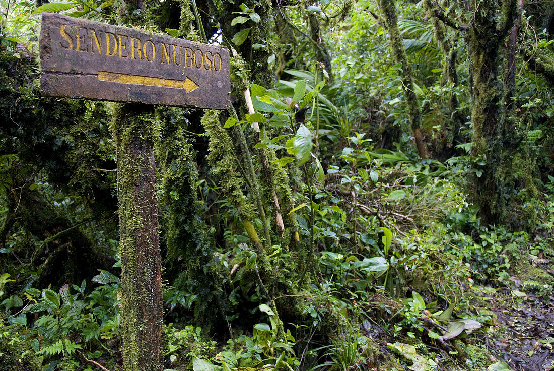 Reserva Biológica Bosque Nuboso Monteverde. Puntarenas, Costa Rica