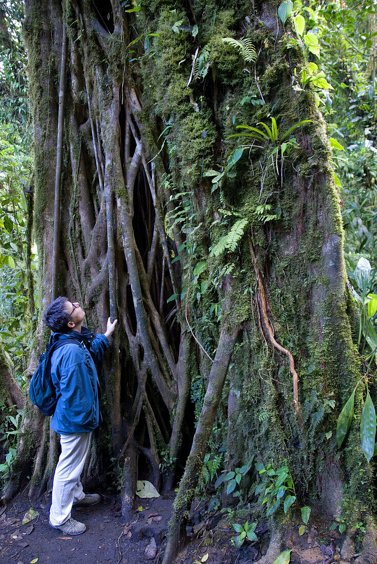 Reserva Biológica Bosque Nuboso Monteverde. Puntarenas, Costa Rica