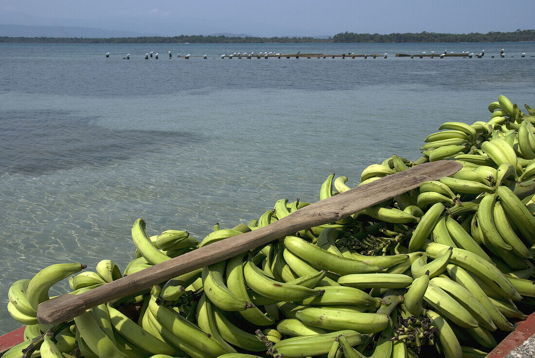 Boat with bananas in Boca del Drago dock. Colón island. Bocas del Toro. Panamá.