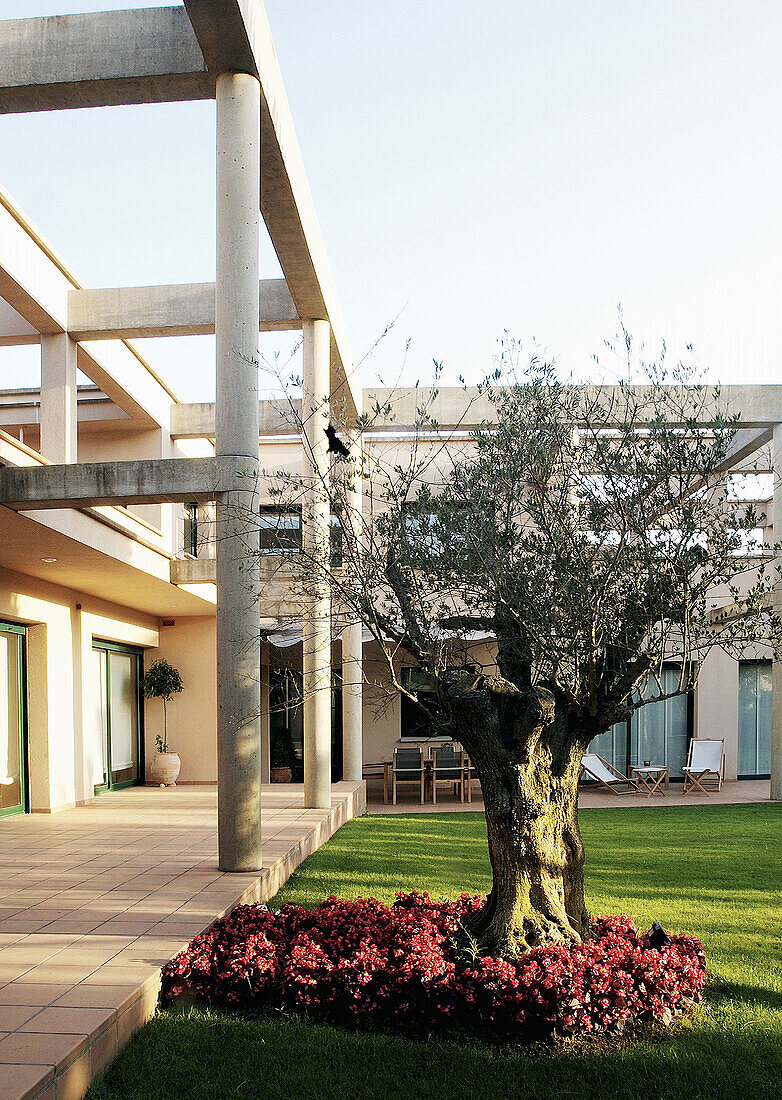  Architecture, Building, Buildings, Color, Colour, Contemporary, Daytime, Exterior, Garden, Gardens, House, Houses, Modern, Nobody, Outdoor, Outdoors, Outside, Portico, Porticos, Tree, Trees, Vertical, B29-315427, agefotostock 