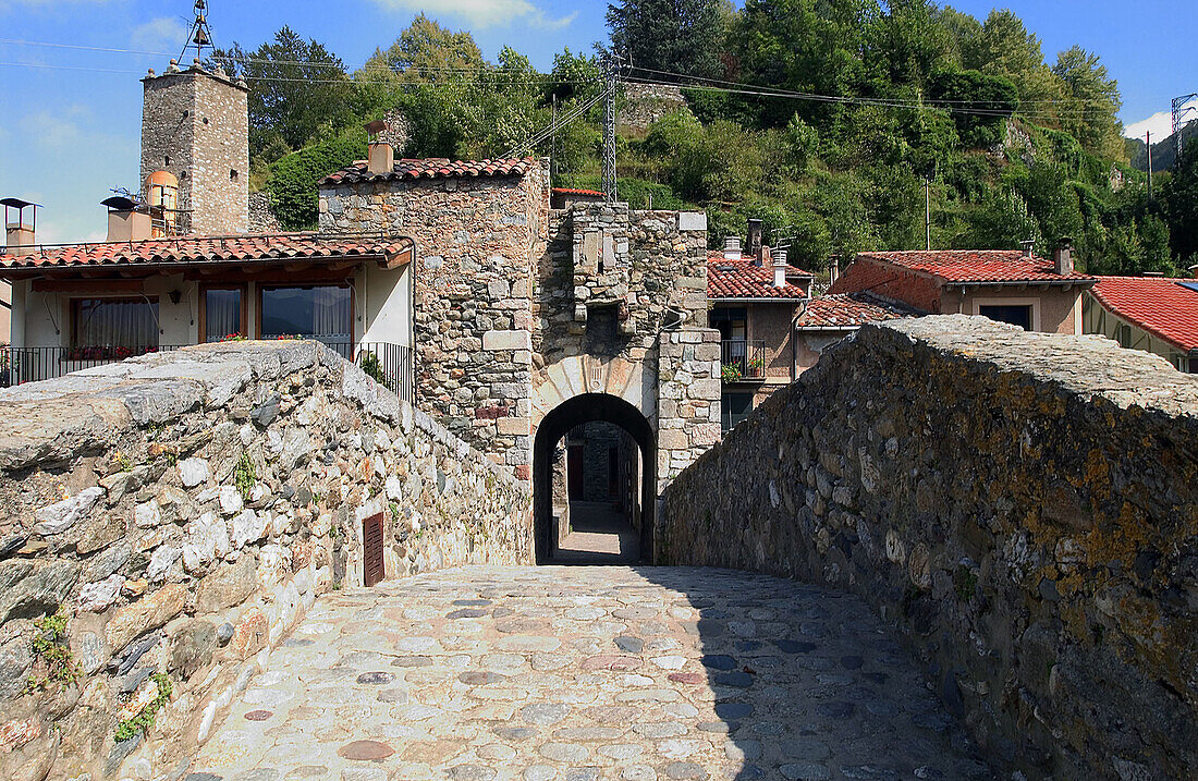 Pont Nou (New Bridge, 12th century) over Ter River, Camprodon. Girona province, Catalonia. Spain