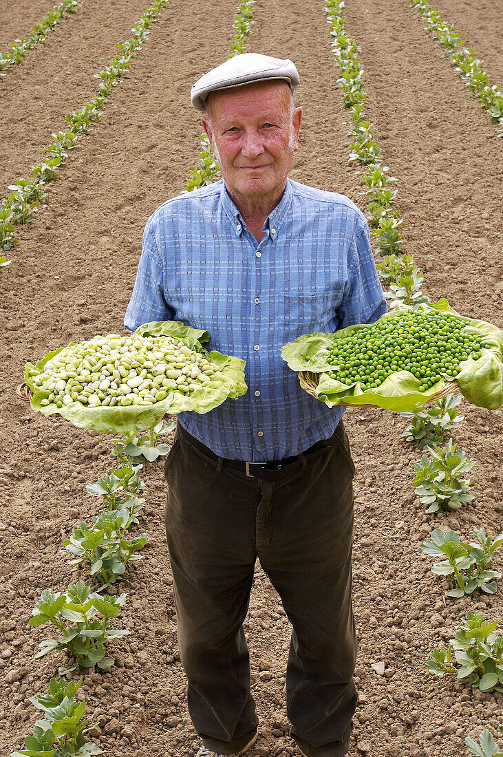 Farmer showing peas and broad beans