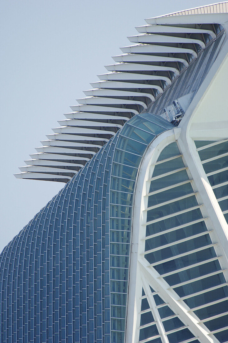 Ciudad de las Ciencias. Valencia. Spain.