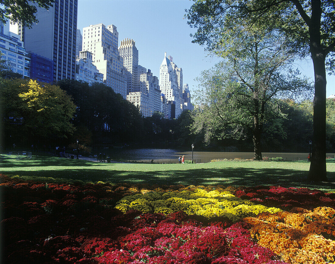 Fall foliage and pond in Central Park, Manhattan. New York City, USA