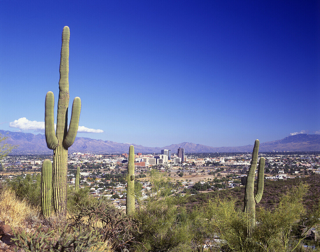 Downtown skyline, From sentinel peak park, tucson, Arizona, USA.