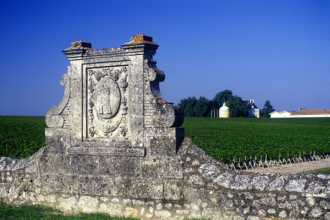 The wall, Chateau latour vineyard, Pauillac, (bordeaux) , France.