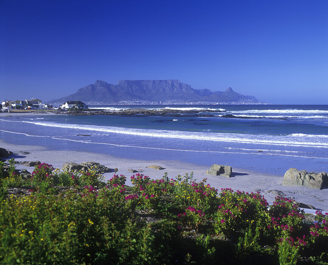 Scenic grootbaai, Bloubergstrand beach, Capetown, South africa.