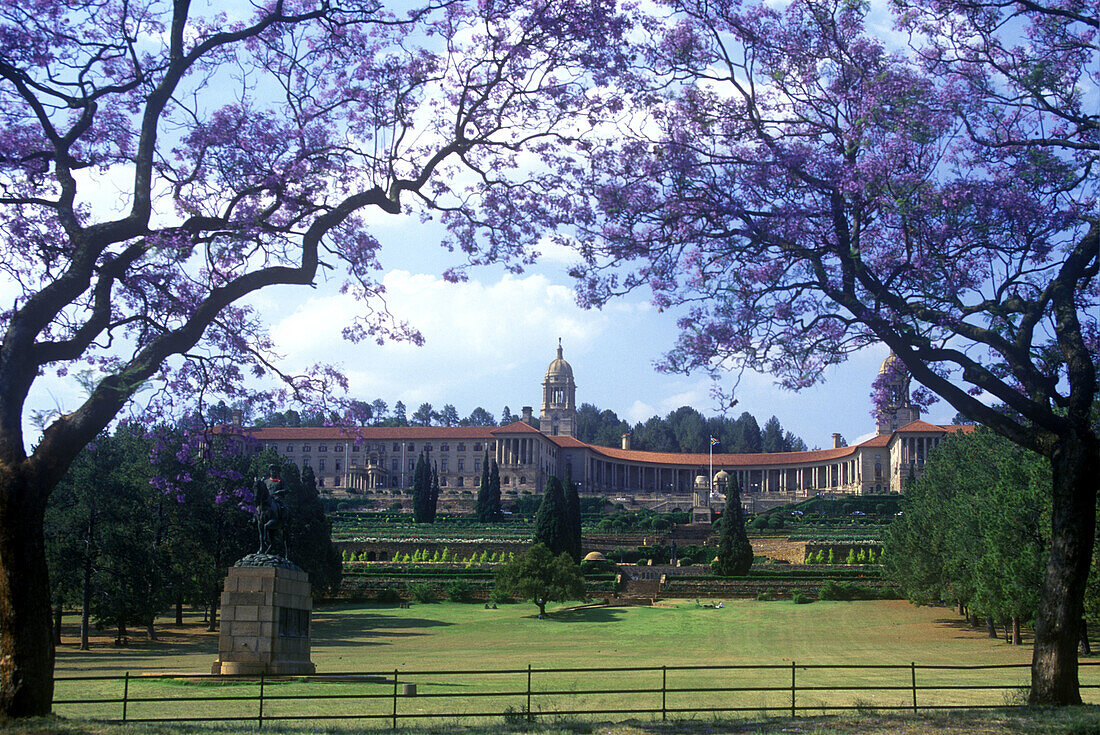 Jacaranda trees, union buildings, Pretoria, South africa.