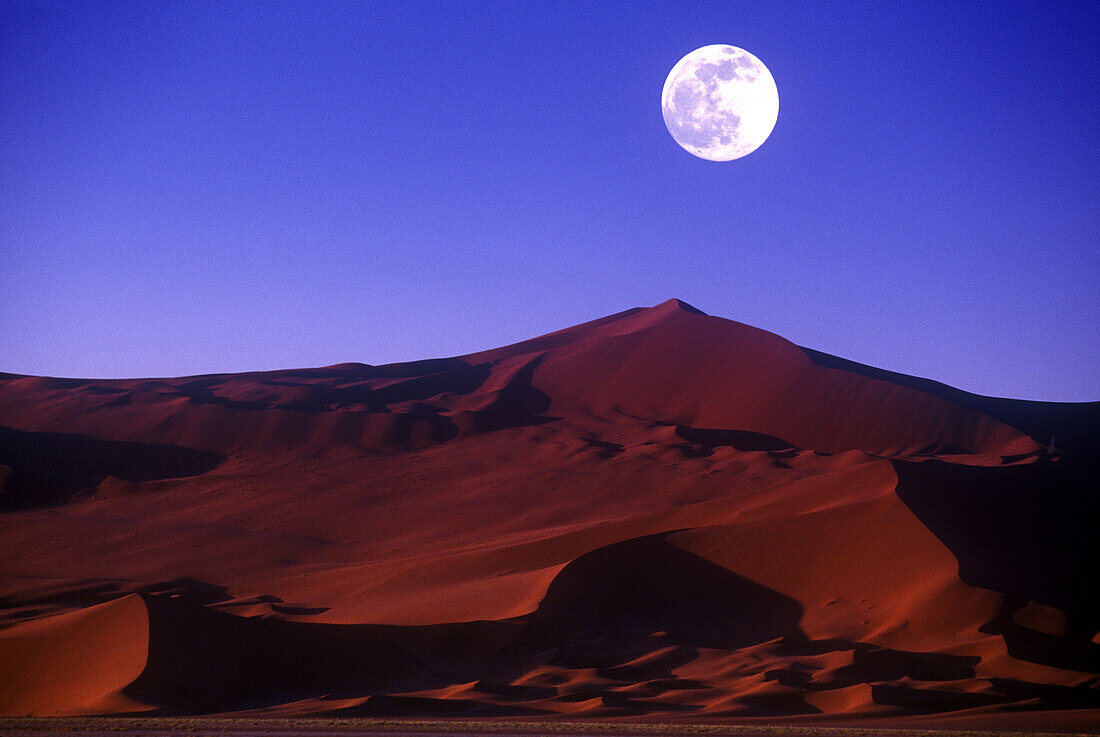 Scenic sand dune, Sossusvlei, Namib-naukluft desert park, Namibia.
