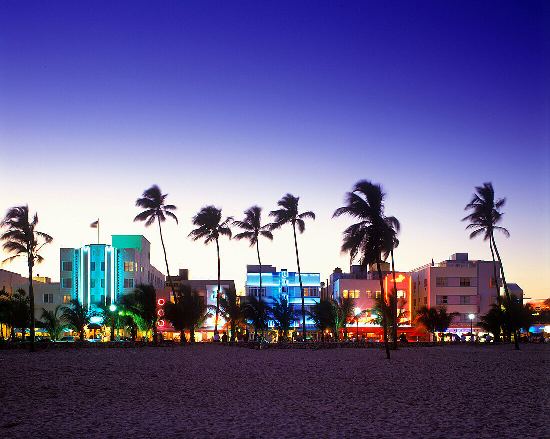Palm trees & beach, ocean drive, South beach, Miami beach, Florida, USA.