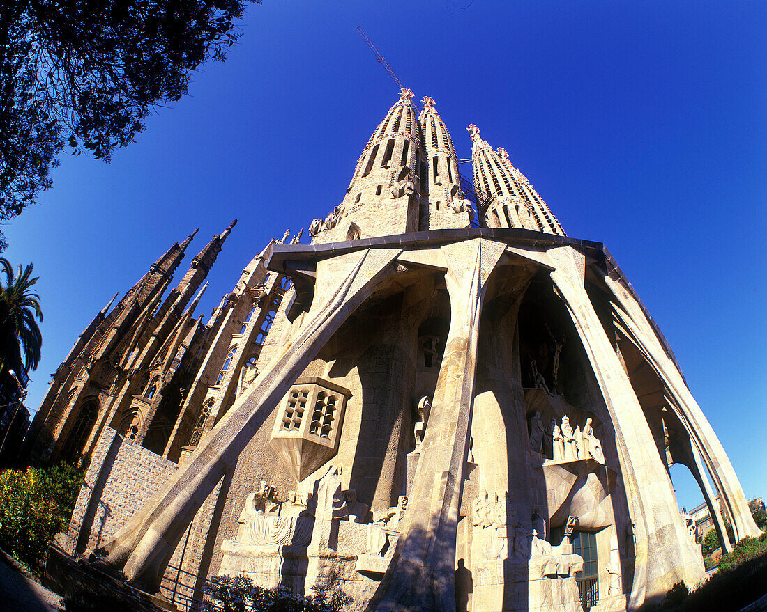 Sagrada familia, Barcelona, Catalunya, Spain.