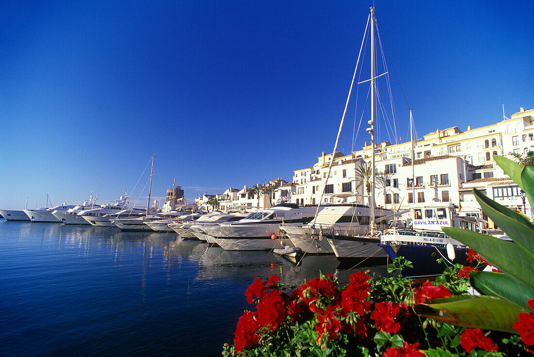 Puerto banus, Marbella, Costa del sol, Andalucia, Spain.