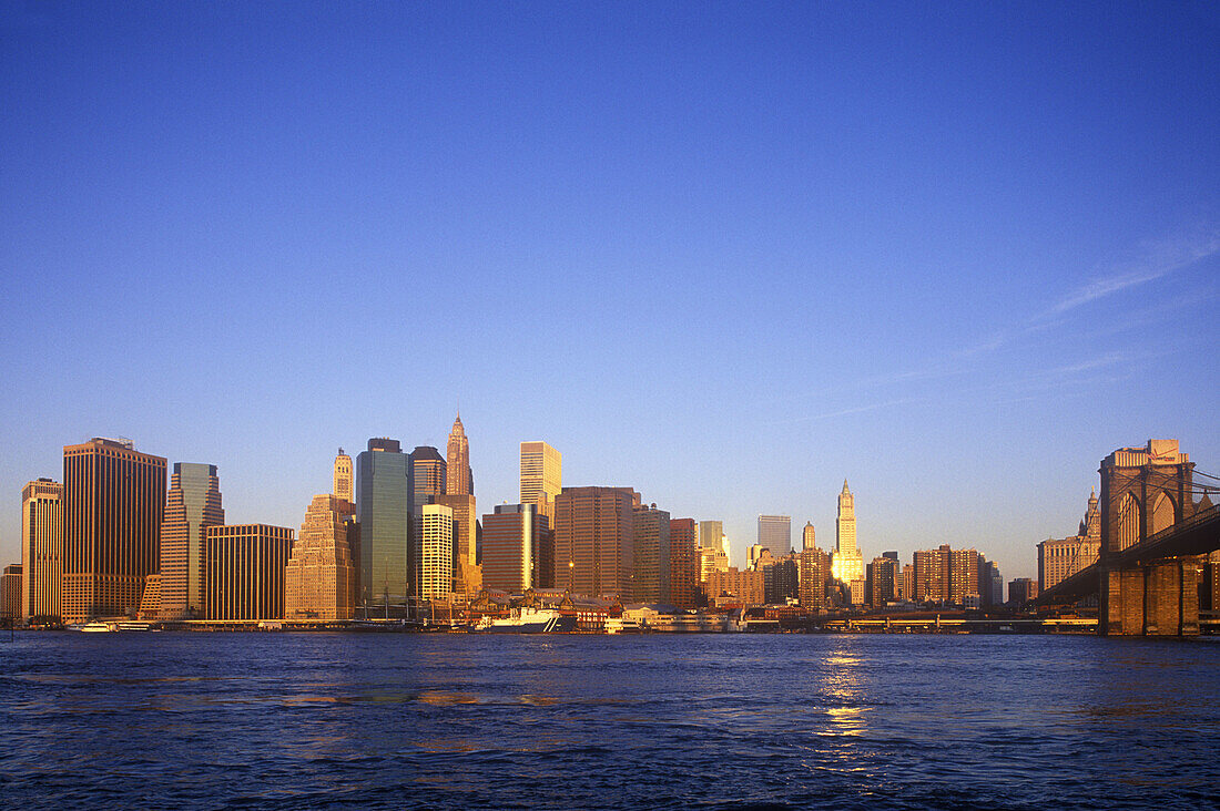 Downtown skyline, Manhattan, New York, USA