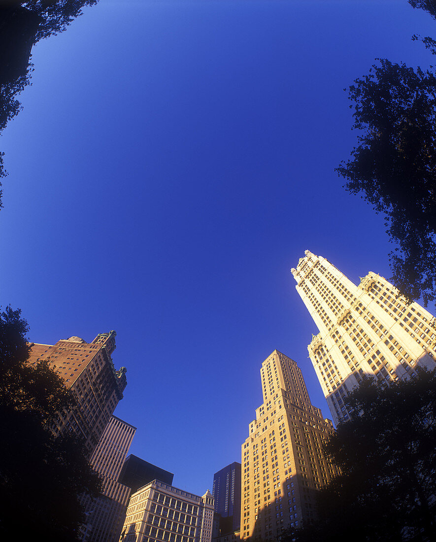 Woolworth building, Broadway, Downtown, Manhattan, New York, USA