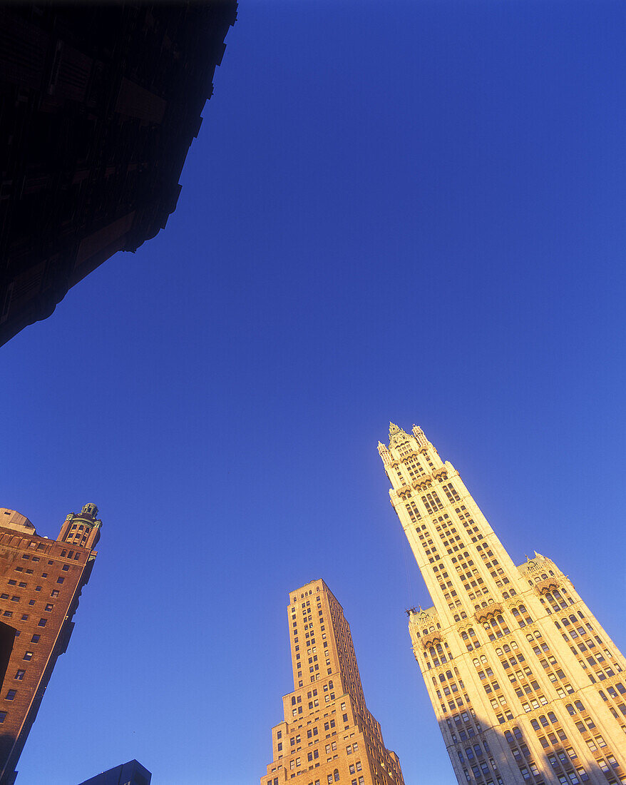 Woolworth building, Broadway, Downtown, Manhattan, New York, USA