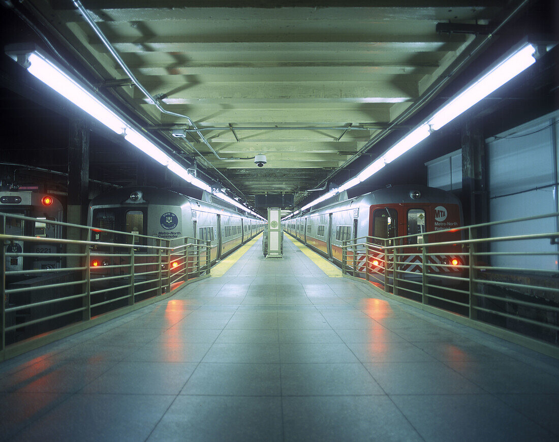 Metro north train platform, Grand central station, Manhattan, New York, USA